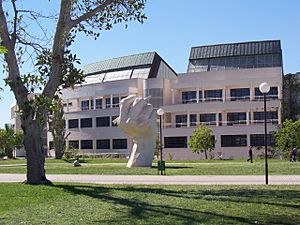 Archivo:Campus università di Alicante