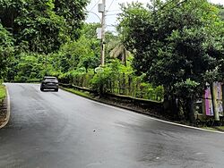 Carretera PR-812, Bayamón, Puerto Rico.jpg