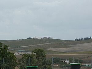 Archivo:CerroViejo-GarveyJerezP1080862