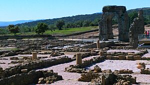 Archivo:Ciudad romana de Cáparra
