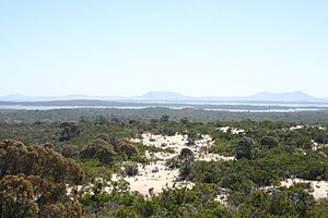 Archivo:Coffin Bay National Park coastal heath
