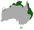 Common Planigale area