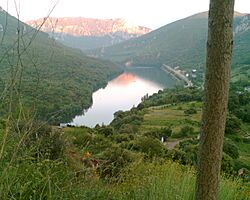 Covas - panoramio.jpg