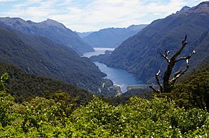 Archivo:Doubtful Sound