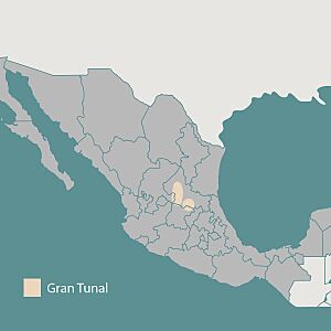 Archivo:El Gran-tunal