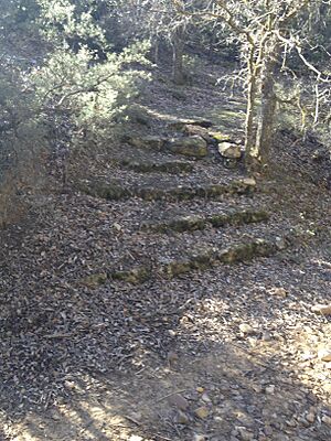 Archivo:Escaleras de Piedra en la Dehesa del Carrascal