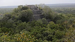 Archivo:Estructura I Calakmul Campeche - panoramio