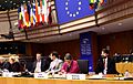 Fontaine - Quintin - Kaplan - European Parliament