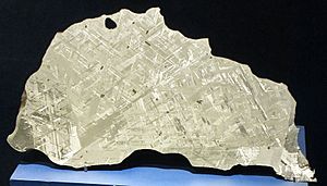 Archivo:Gibeon meteorite, NMNH