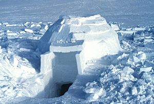 Archivo:Igloo