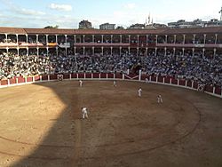 Archivo:Interior Plaza de Toros El Bibio