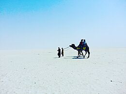 Kutch Adventures India