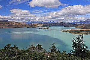 Archivo:Lago Nordenskjöld - panoramio