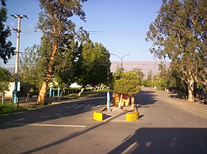 Archivo:Localidad de Carpintería departamento Pocito San Juan Argentina (EagLau-2008)