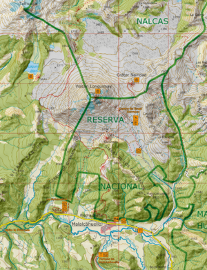 Archivo:Lonquimay
