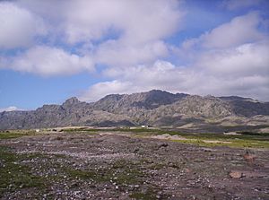 Archivo:LosGigantes