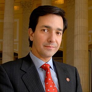 Archivo:Luis Fortuño congressional portrait