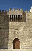 Montealegre de Campos, castillo PM 17751