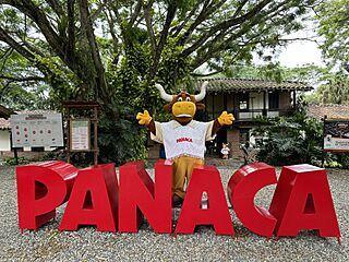 PanacaImg.jpg