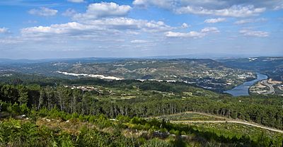Archivo:Panoramica do río Miño (Minho river) cara a Ourense desde o Monte San Trocado, (Galicia, Spain)