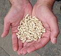 Pellets hand