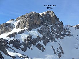 Pico San Carlos.jpg
