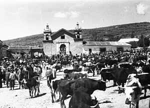 Archivo:PlazaSanJuanToros