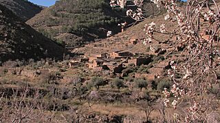 Portocarrero gergal.jpg
