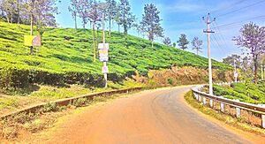 Archivo:Pozhuthana Wayanad