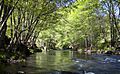 Rio-Cúa