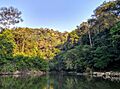 Rio Moa, Serra do Divisor, Acre, Brasil 01