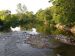 Archivo:Roanoke River in Wasena, Roanoke, Virginia
