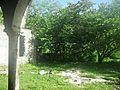 Sac Nicté (Umán), Yucatán (05)