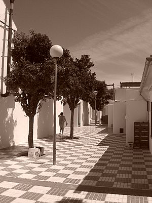 Archivo:Strada di Marinaleda, Andalusia (Spagna)