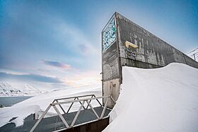 Svalbard Global Seed Vault February 2025.jpg