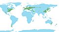 Temperate broadleaf and mixed forests