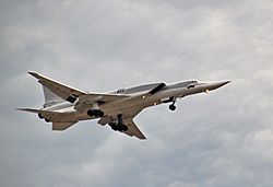 Archivo:Tu-22M3 Ryazan2