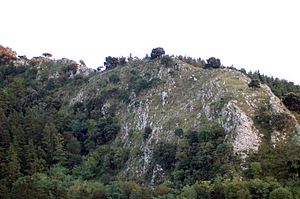 Archivo:View Of Arlanpe