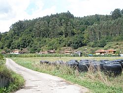 Villanueva (Pravia) para Niños