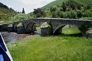 Archivo:1 Puente de Boca de Huérgano sobre río Yuso-Esla (5)