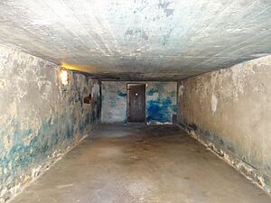 Archivo:2013 KL Majdanek Baths and Gas Chamber - 30