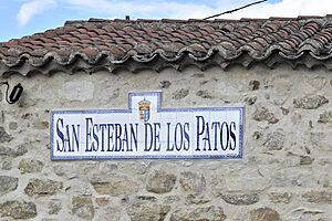 Archivo:20230515 SAN ESTEBAN DE PATOS 6-1