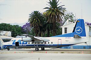 Archivo:322aa - LAB Fokker F27, CP-2013@CBB,25.09.2004 - Flickr - Aero Icarus