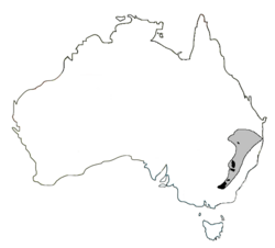 Distribución actual de la rana de Booroolong (en negro) comparada con la histórica (en gris).