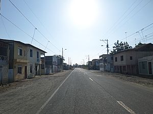 Archivo:Calle principal oeste