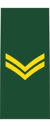 Canadian Army OR-4.svg