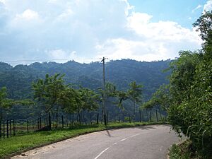 Archivo:Carretera Canoabo
