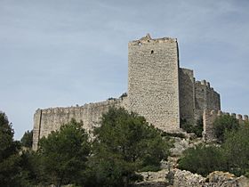 Castell de Polpís des del SE.JPG