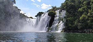 Archivo:Catarata Federico Ahlfeld