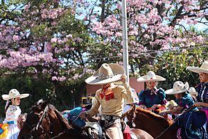 Archivo:Charro jiquilpense